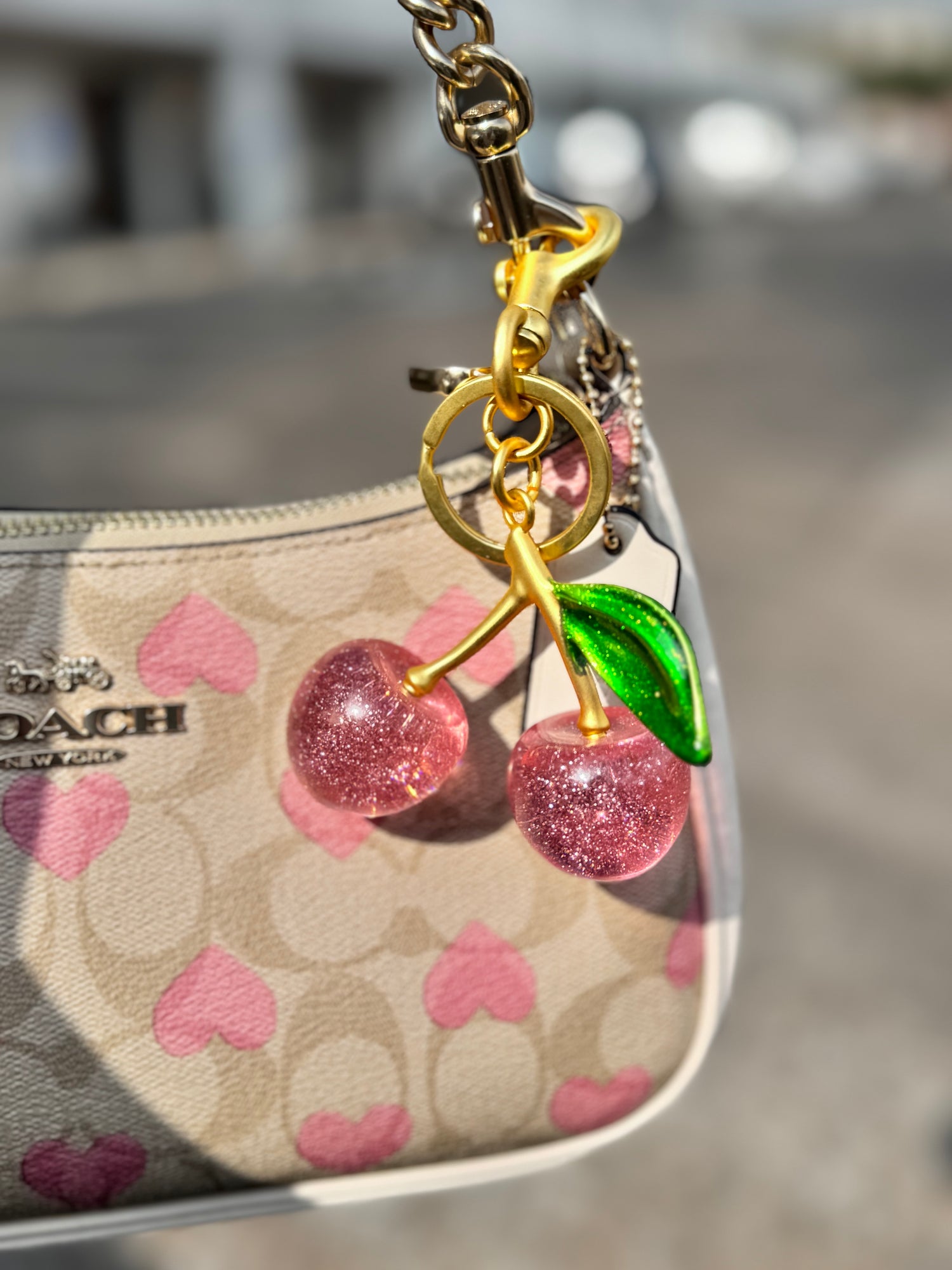 Keychains & Accessories