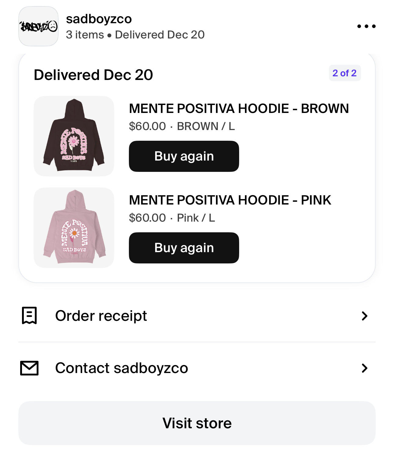 Sad Boyz Hoodie Merch (New) Large only