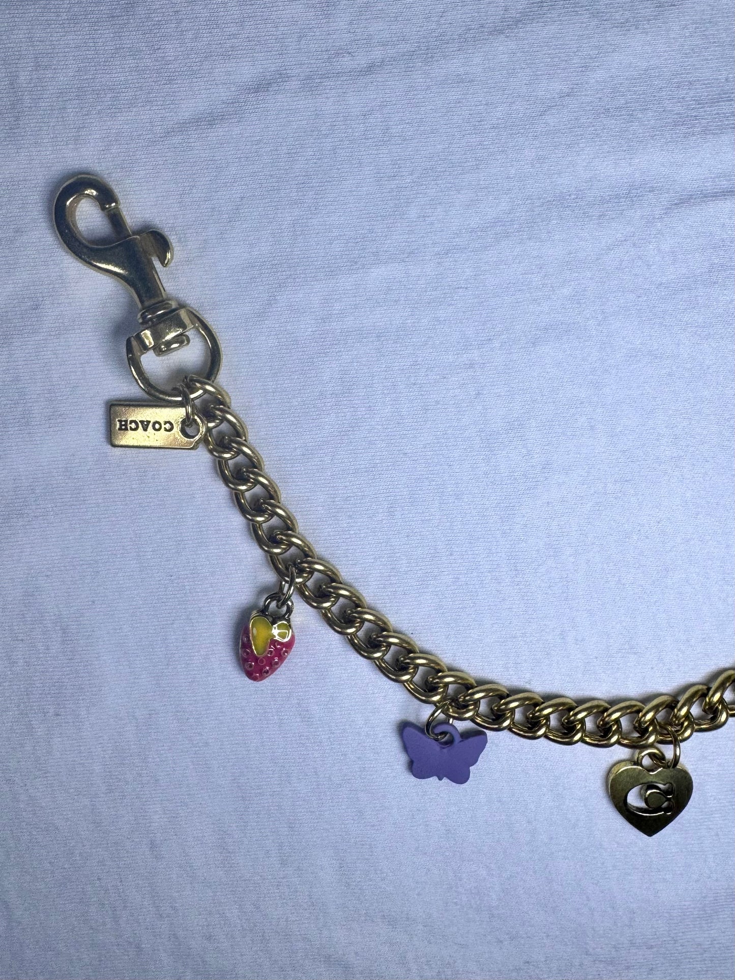 Charms Chain for Purse