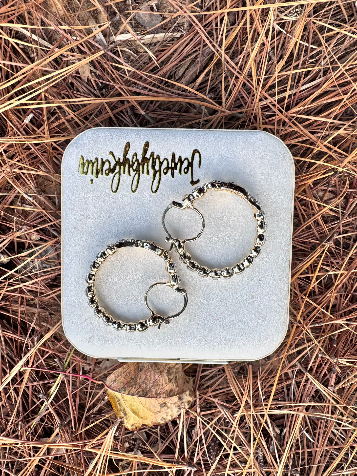 Santa Muerte Earring Hoops