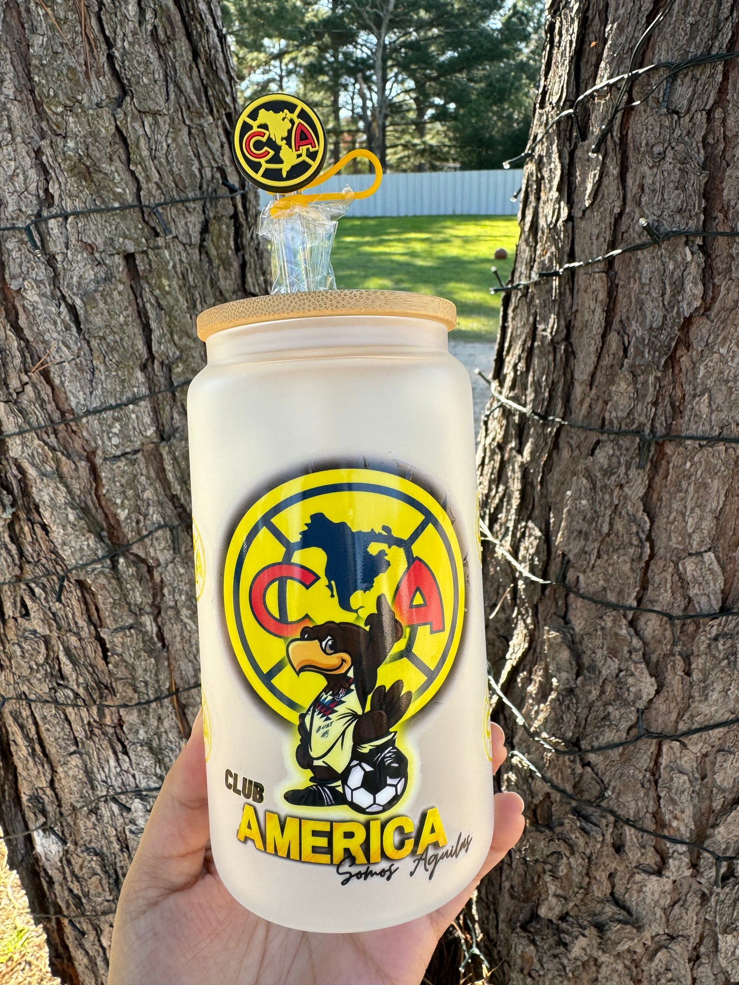 Club America Frosted Glass Cup