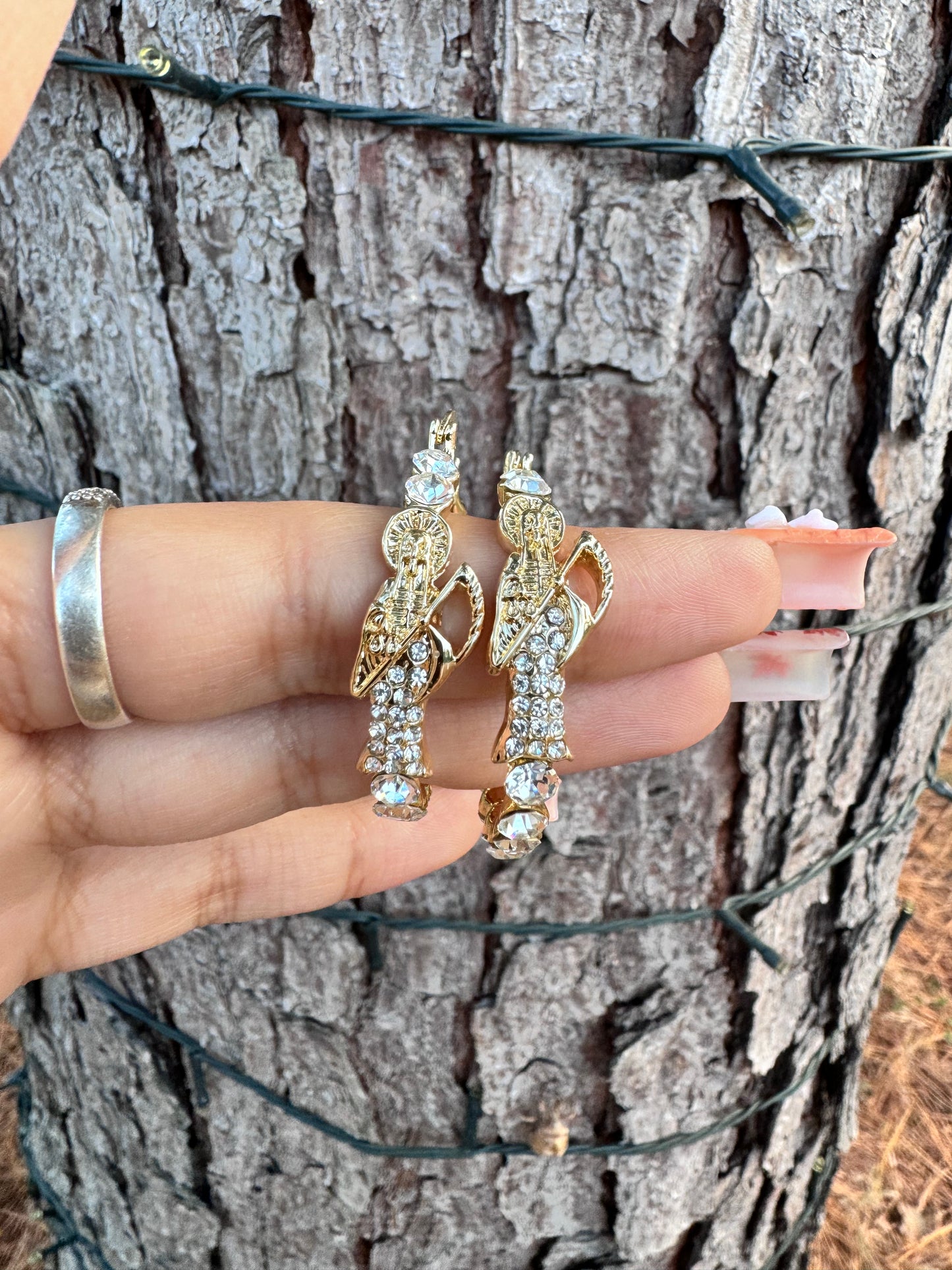 Santa Muerte Earring Hoops