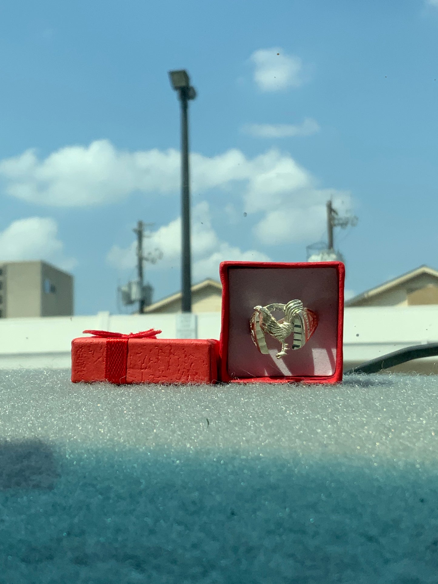 Herradura Gallo ring (Size 9)