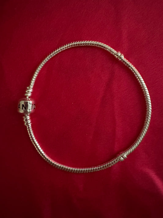Snake Chain Bracelet