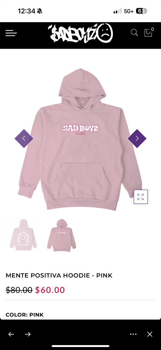 Sad Boyz Hoodie Merch (New) Large only