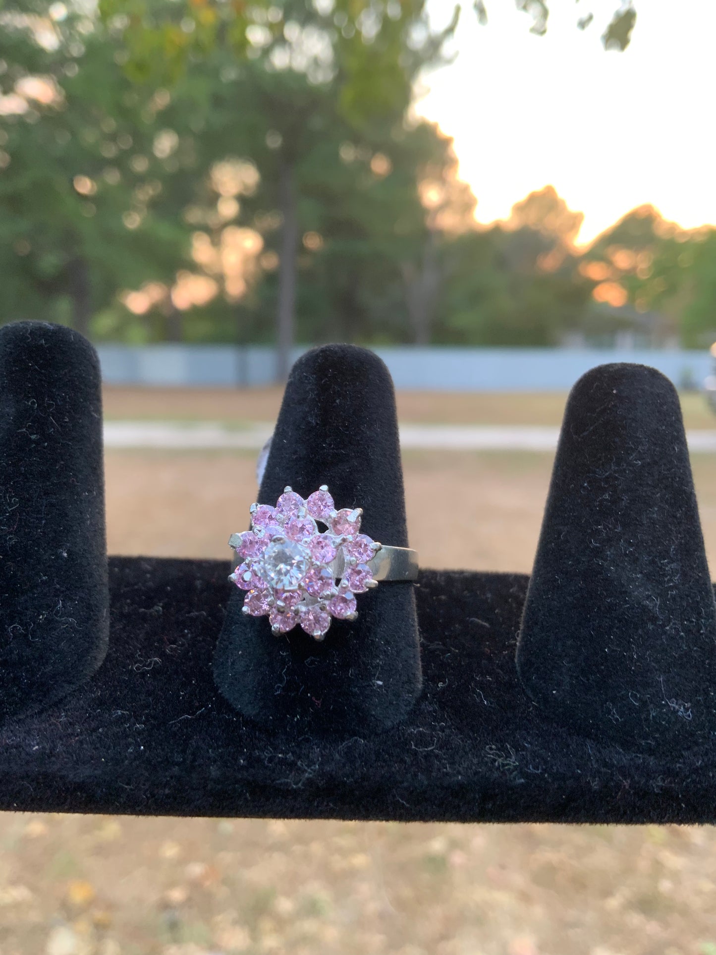 Pink Spinner Ring (Size 8)