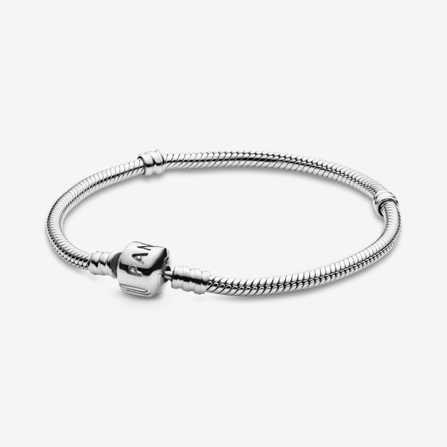 Snake Chain Bracelet